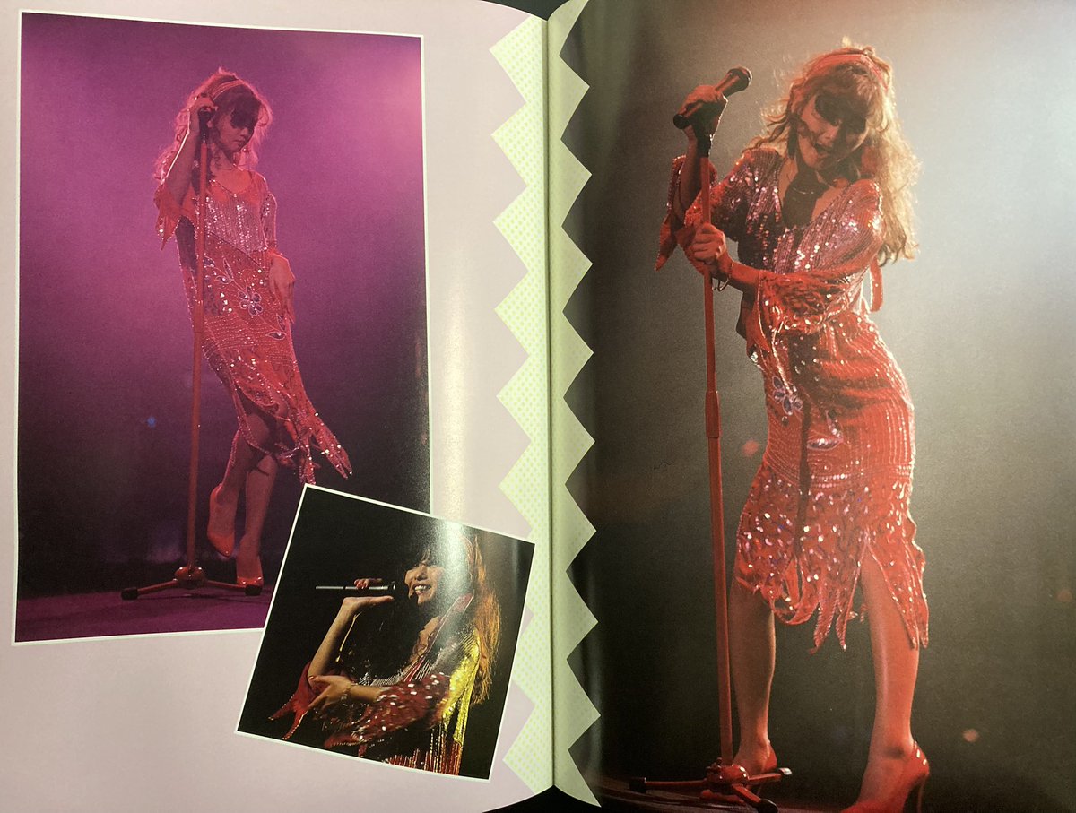 本田美奈子　コンサートパンフレット 本田美奈子 RISE UPコンサート パンフレット(1986年)｜Yahoo