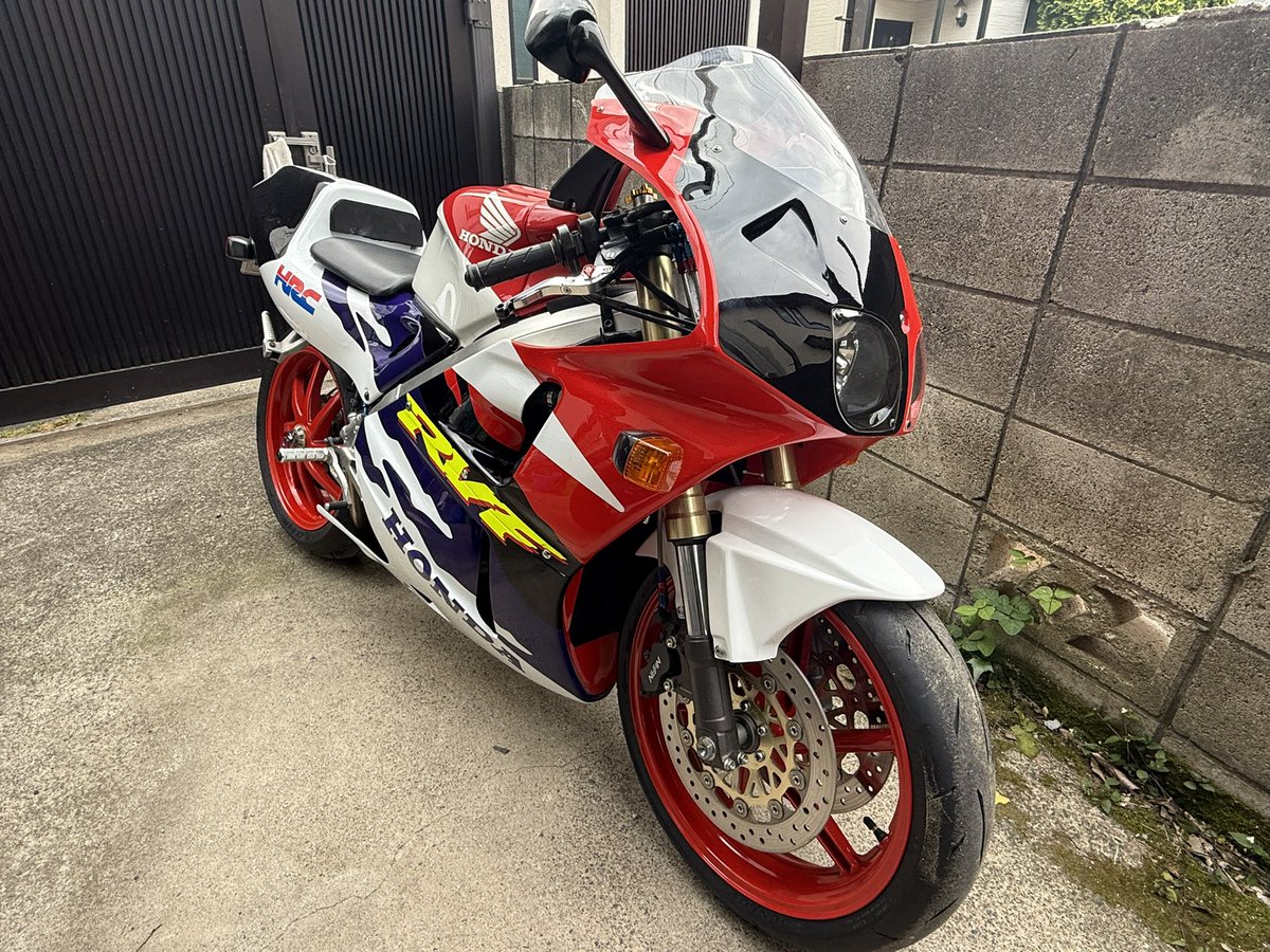 月曜から早朝走り。