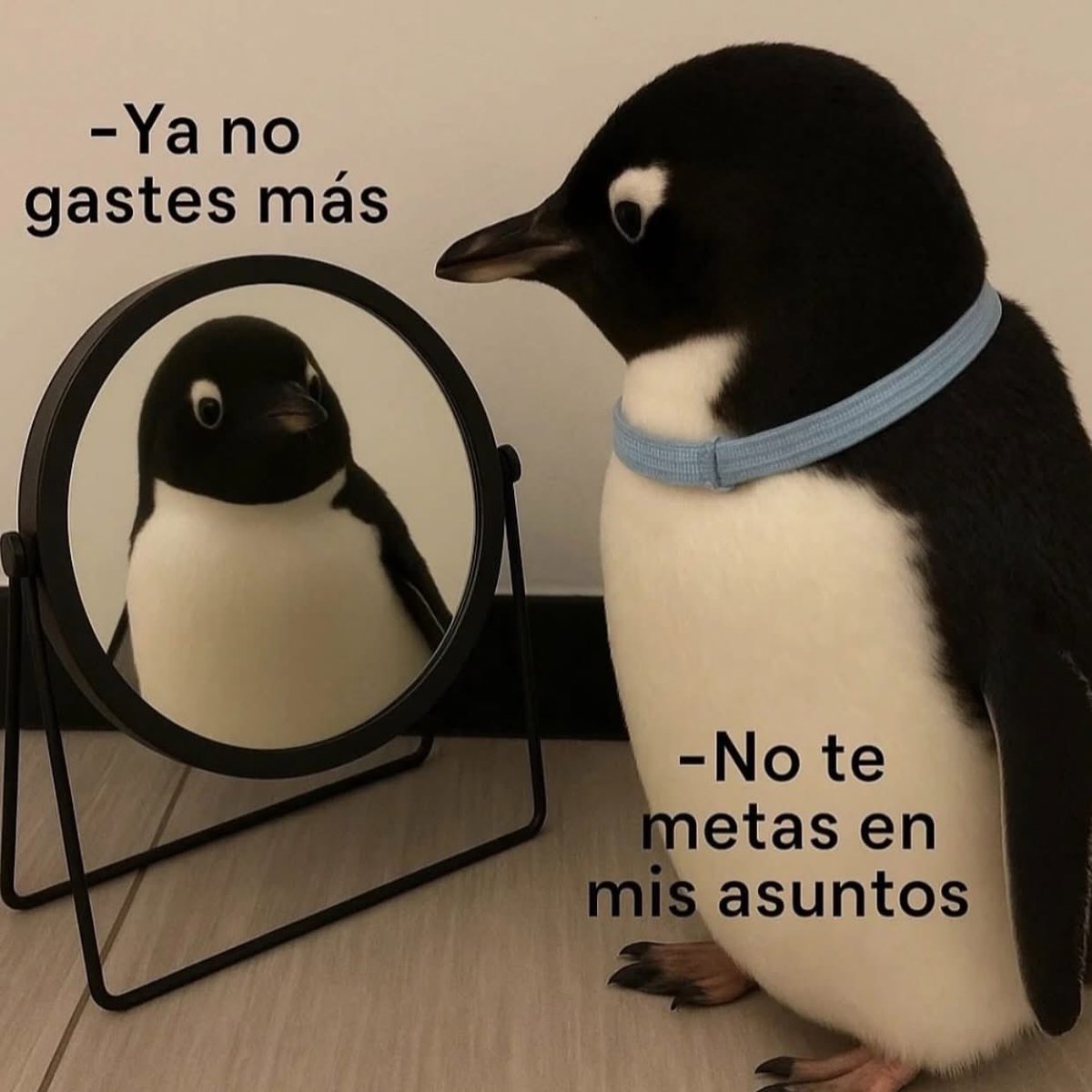 gabymrvs's tweet photo. 🤣🤣🤣 https://t.co/dQHQO0PkUW