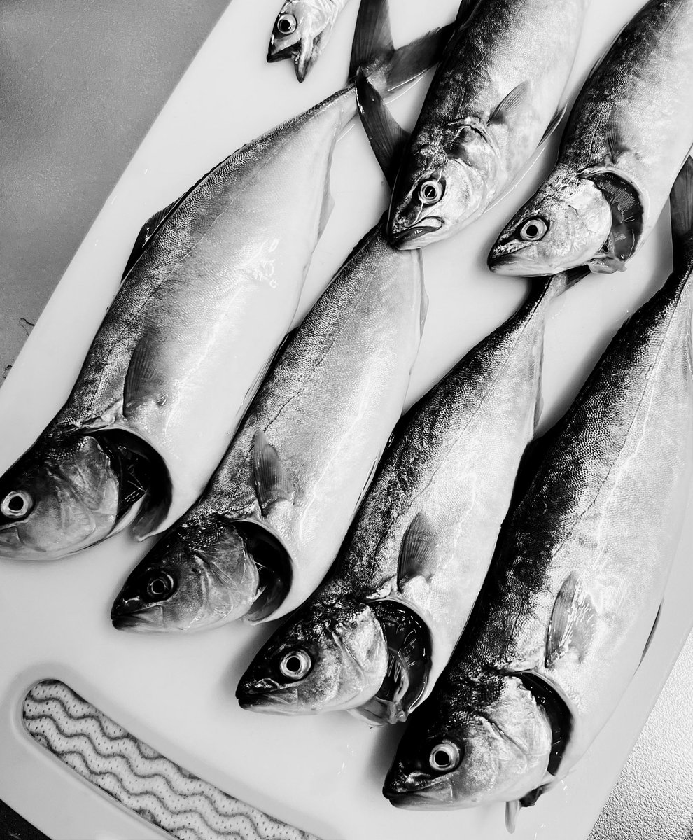 9ヶ月ぶりの聖地巡礼調査🧐🐟

短期決戦しこたま、楽しめたー🤗

海の豊かに感謝🫡