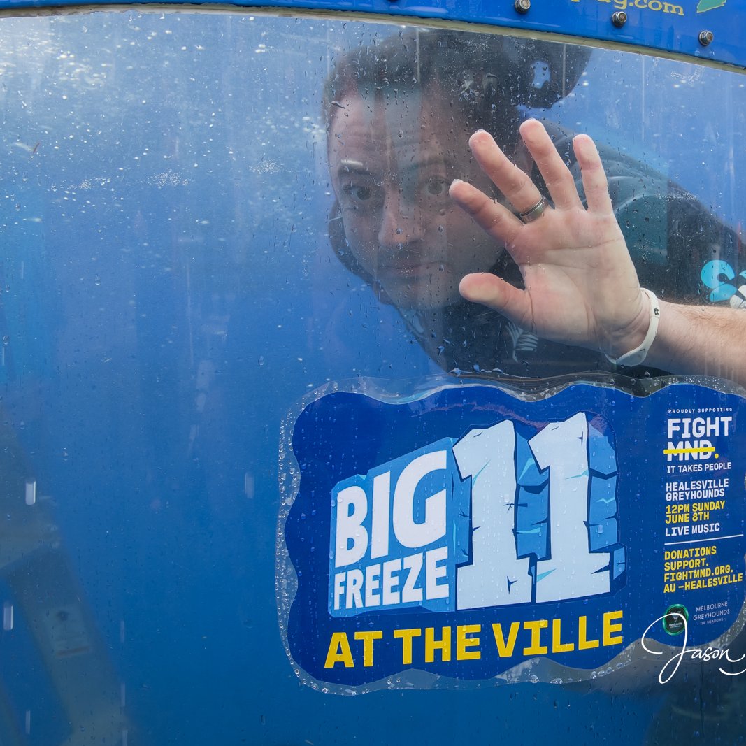 Melbourne Greyhounds - The Meadows tweet media