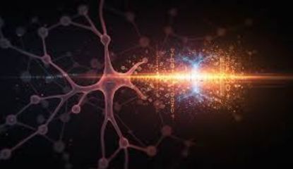 BIS_Infotech's tweet image. MicroAlgo Inc. explored quantum technology applications, focusing on QNN training to improve pattern recognition and data processing.
#ImageProcessing #MachineLearning #MicroAlgo