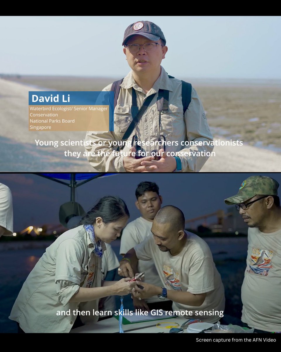 📣 The ASEAN Flyway Network video is out now—check it out!

Watch how the ASEAN Flyway Network &amp; #EAAFP are working together to protect wetlands and migratory birds.

🎥 youtube.com/watch?v=cqdfnT…

#EAAFlyway_AFN #ASEANFlywayNetwork #MigratoryBirds