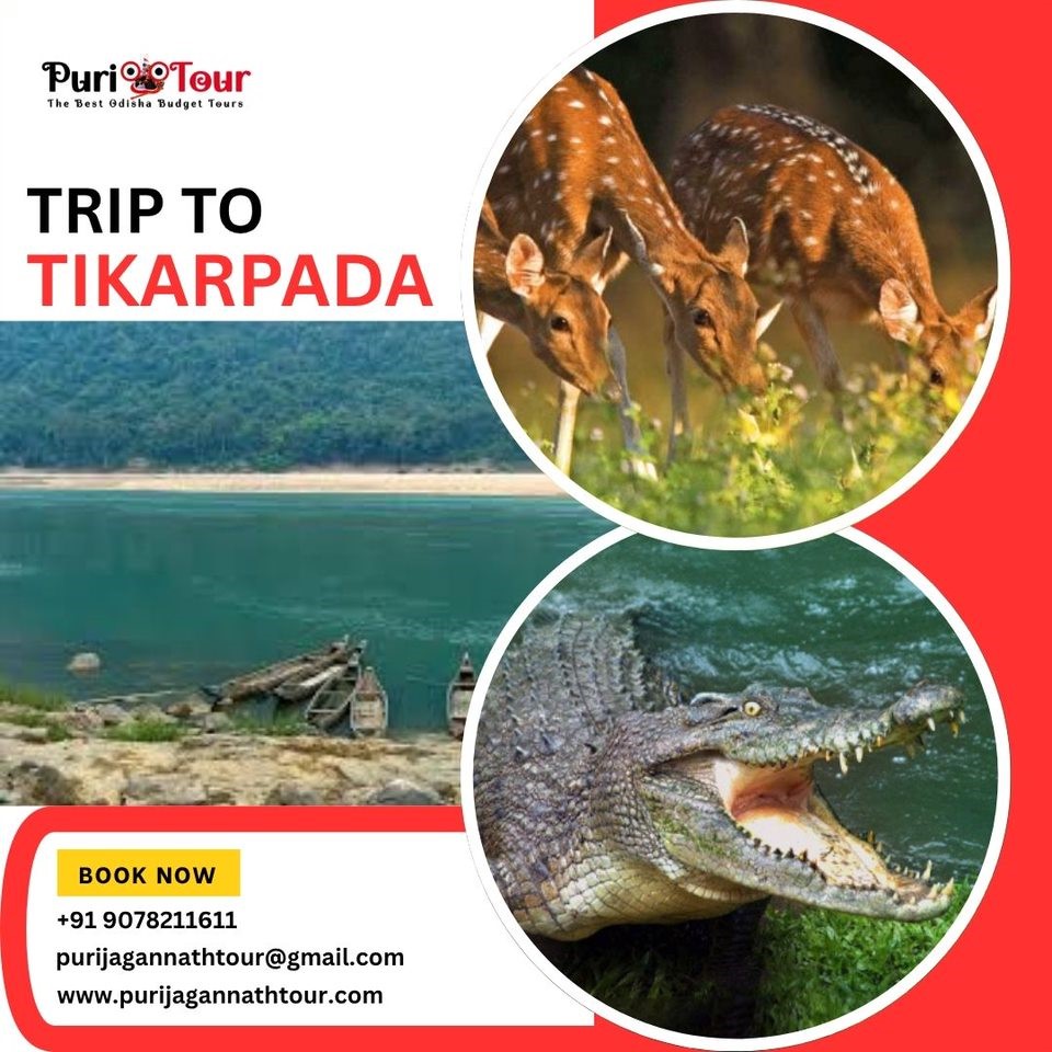 jagannath_tour's tweet image. 🏝️Discover Tikarpada's natural beauty!
Stunning landscapes
Wildlife spotting
Experience thrilling adventures.
Join us for an unforgettable travel experience &amp;gt;&amp;gt; purijagannathtour.com
WhatsApp : +91 9078211611

#puritour #tikarpada #waterfall #animals #Nature #odishatour