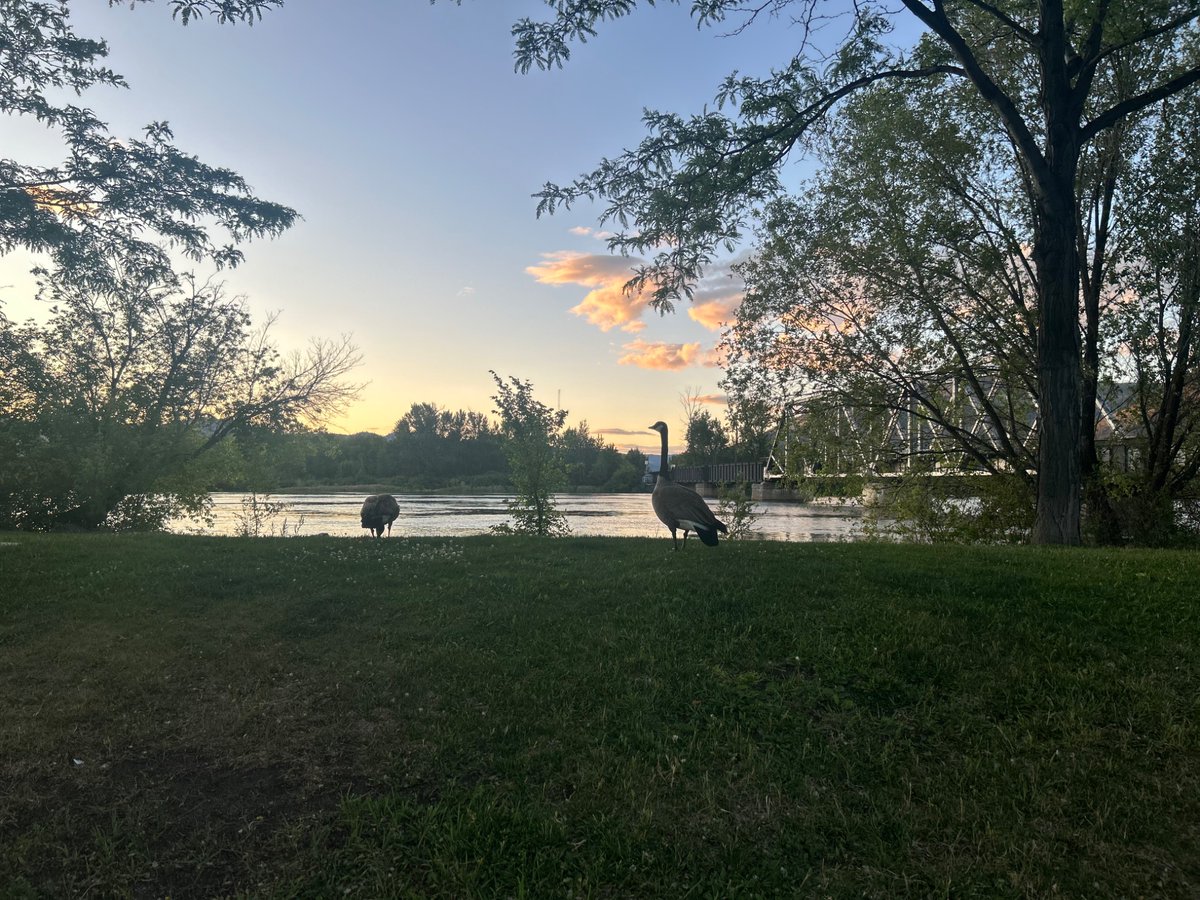 KanjifoxGD's tweet photo. Out for a walk today and the sky looks really pretty https://t.co/9zEOHFB3Jx