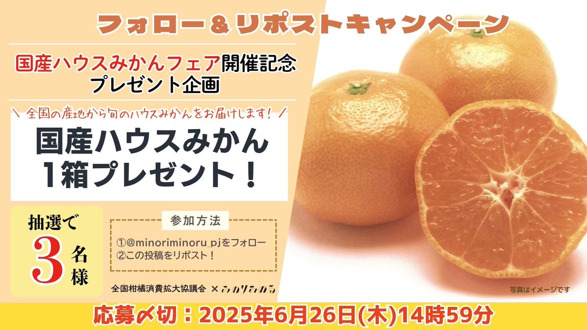 🍊国産ハウスみかんフェア開催記念プレゼント企画🍊

フォロー＆リポストで #国産ハウスみかん 1箱が抽選で3名様に当たる🎁

①<a href="/minoriminoru_pj/">みのりみのる カフェ&レストラン【公式】</a>をフォロー 
②この投稿をリポスト
⚠️〆切 2025/6/26 14:59

📝minoriminoru.jp/topics/cat869/…
#みのりみのる #国産食材のカフェ・レストラン #全農