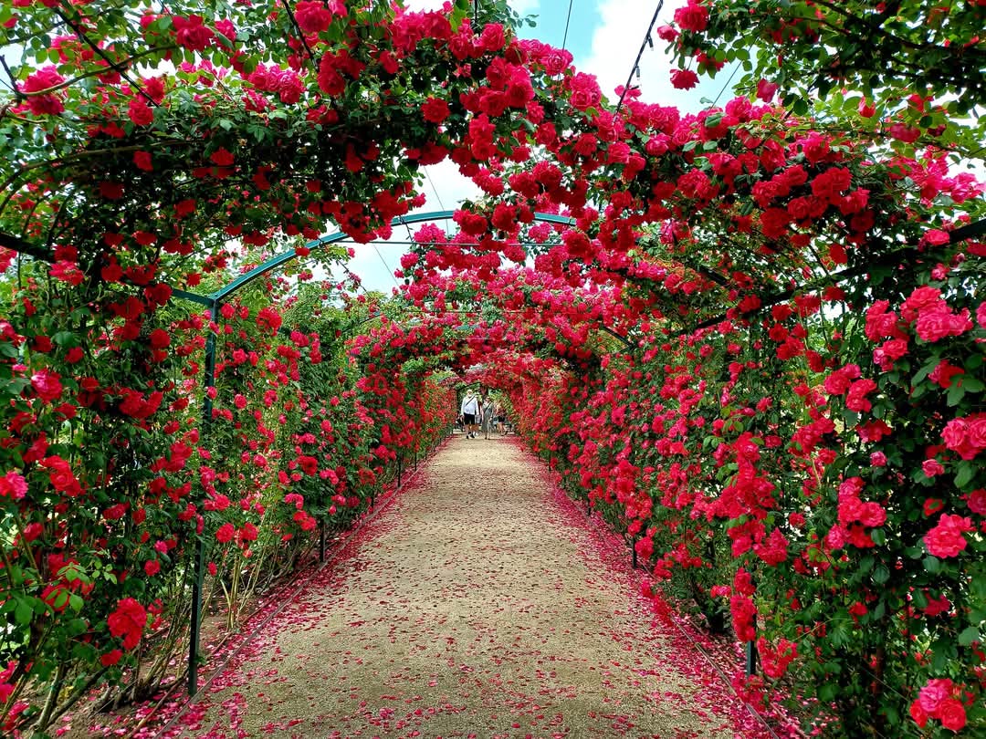 angelakingaa's tweet image. Have a happy day ☀️🥰