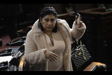 De Delia Bac hay 2 momentos:
1. Su carretera privada
2. Despotricando en el pleno contra Mario Taracena con su abrigo ostentoso de pieles exóticas después de la reforma LEPP de 2016 cuando había votado a favor, pero no había leído q prohibía el transfuguismo