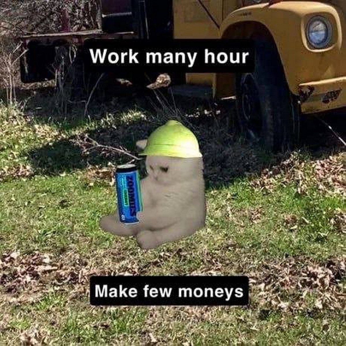 პოლინა (@nitzancfardea) on Twitter photo 