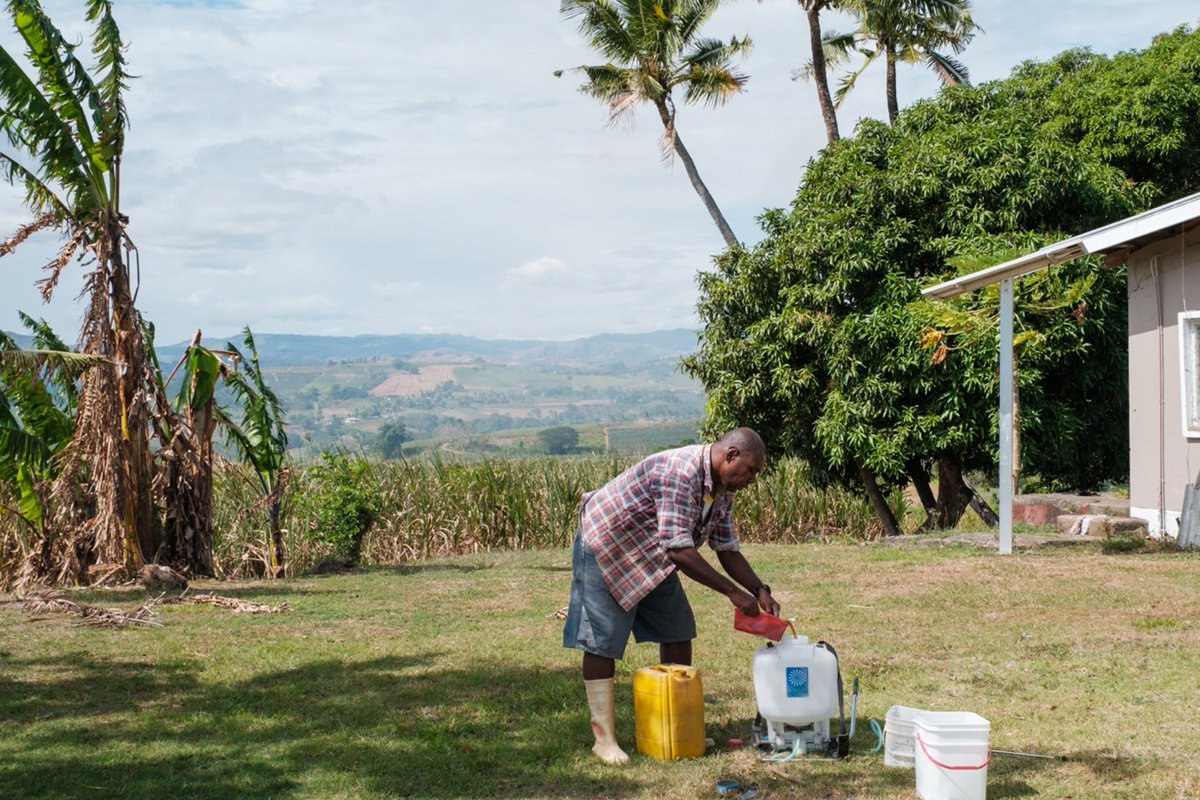 IFAD Asia (@ifadasia) on Twitter photo Meet Niko, who left his work as a customs officer in #Fiji to farm full-time.👩🌾 An <a href="/IFAD/">International Fund for Agricultural Development</a>-supported project made it possible.
Read more 👉 shorturl.at/LVG87 Meet Niko, who left his work as a customs officer in #Fiji to farm full-time.👩🌾 An <a href="/IFAD/">International Fund for Agricultural Development</a>-supported project made it possible.
Read more 👉 shorturl.at/LVG87