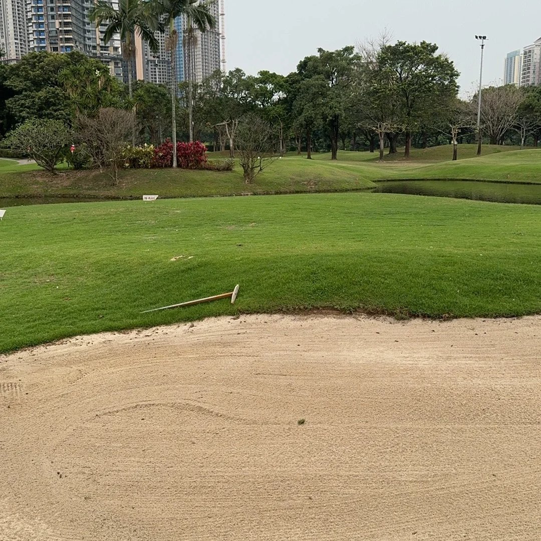Shallow___py's tweet image. 푸른 잔디밭과 골프 코스의 모든 세부 사항이 나를 매료시킵니다.