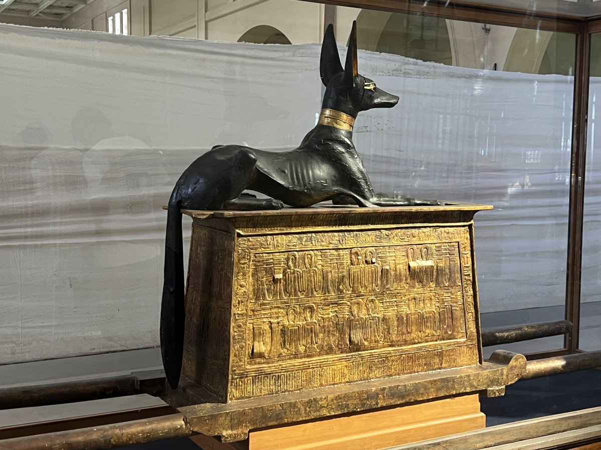 以前の展示場所（幕の向こう）から通路に移動し、大エジプト博物館への移動を待つ昨日（6/8）のアヌビス。光の当たり具合がいい😃

何の前触れもなく移動するんですね、きっと。警備担当者はさぞかし気をもんでいることでしょう😟