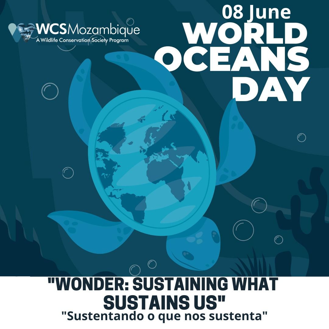 Feliz #DiaMundialdosOceanos2025

“Sustentando o que nos sustenta”

Siga o @SIBMOZ e aprenda a proteger os nossos oceanos!

#WorldOceansDay2025