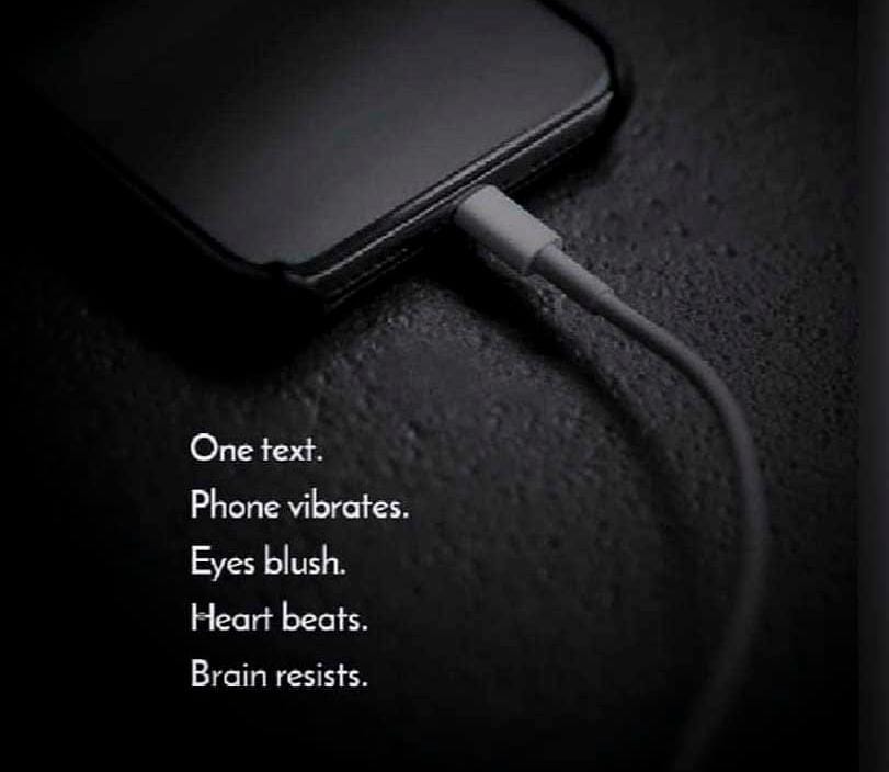 Love is heartbeat of life. Ah, love. The elusive and ephemeral chemical experience that all humans want and crave.
Friedrich Nietzsche so artfully said; There is always madness in love. But there is also always some reason in madness.