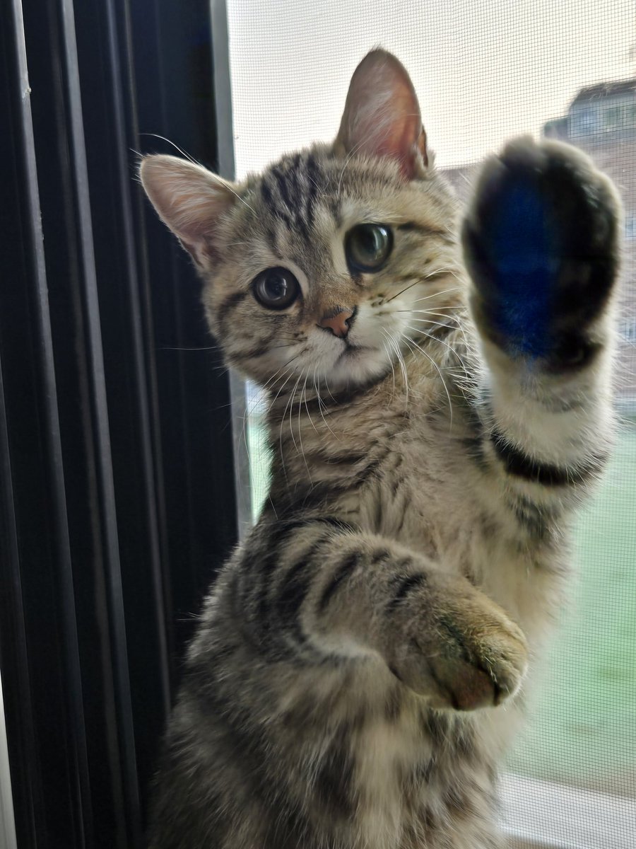 나도있어
ㅎㅇ!