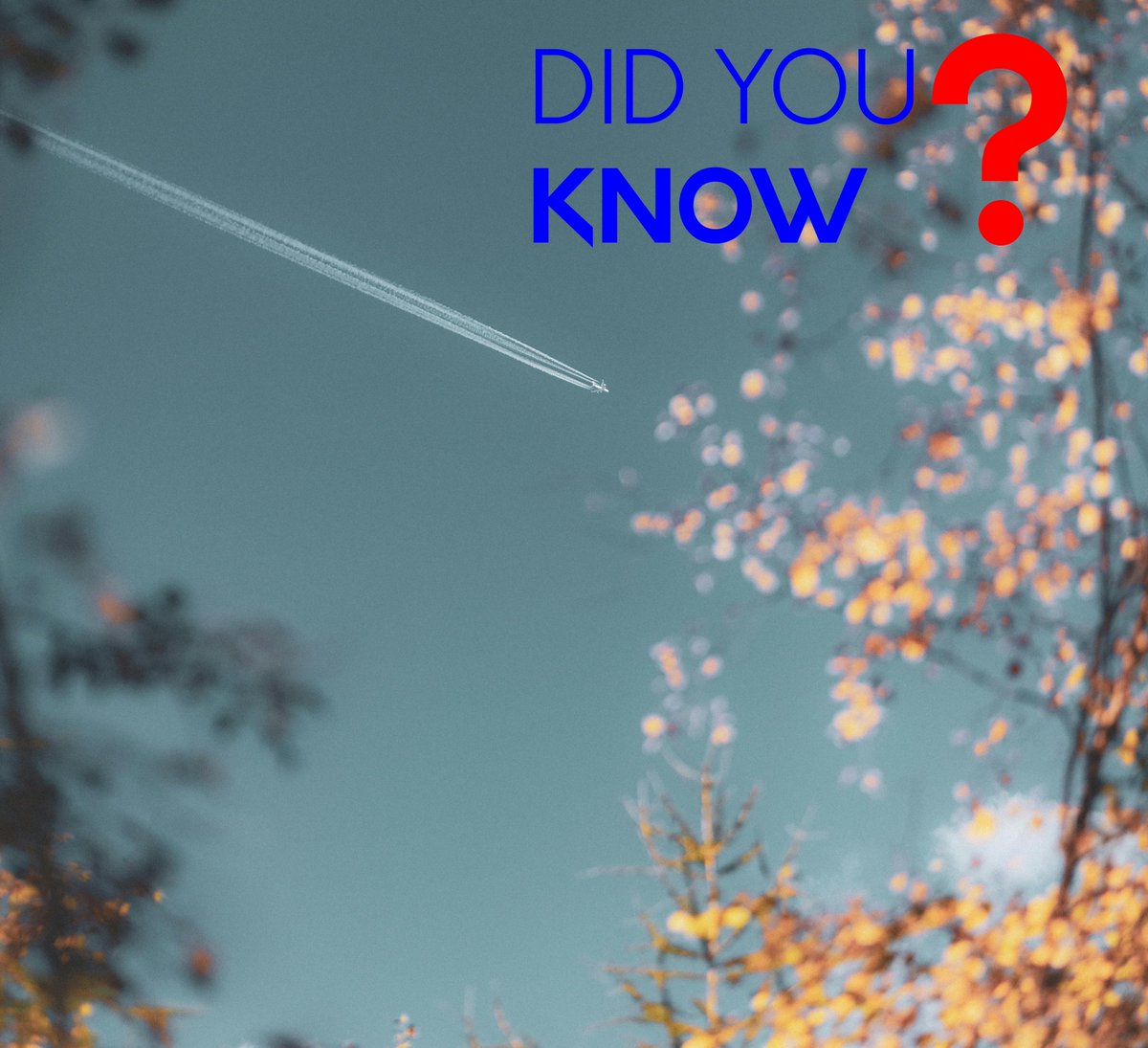 avi_ground's tweet image. Ever seen those white lines planes leave in our Zimbabwean sky? 🤔 #DidYouKnow they're contrails, NOT smoke! 🚫💨 It's just water vapor freezing in the cold upper atmosphere. ❄️✈️

Cool science over Zimbabwe! ✨ #Contrails #AGS #AviationFacts