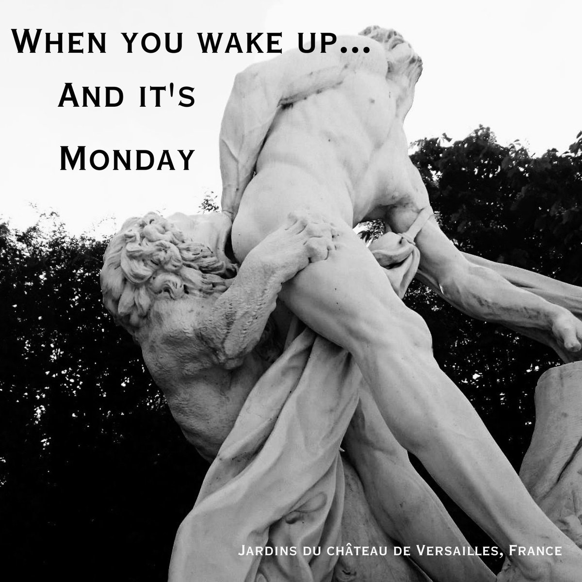 Freyja J. Ⓥ (@madam_scientist) on Twitter photo Mondays... Mondays...