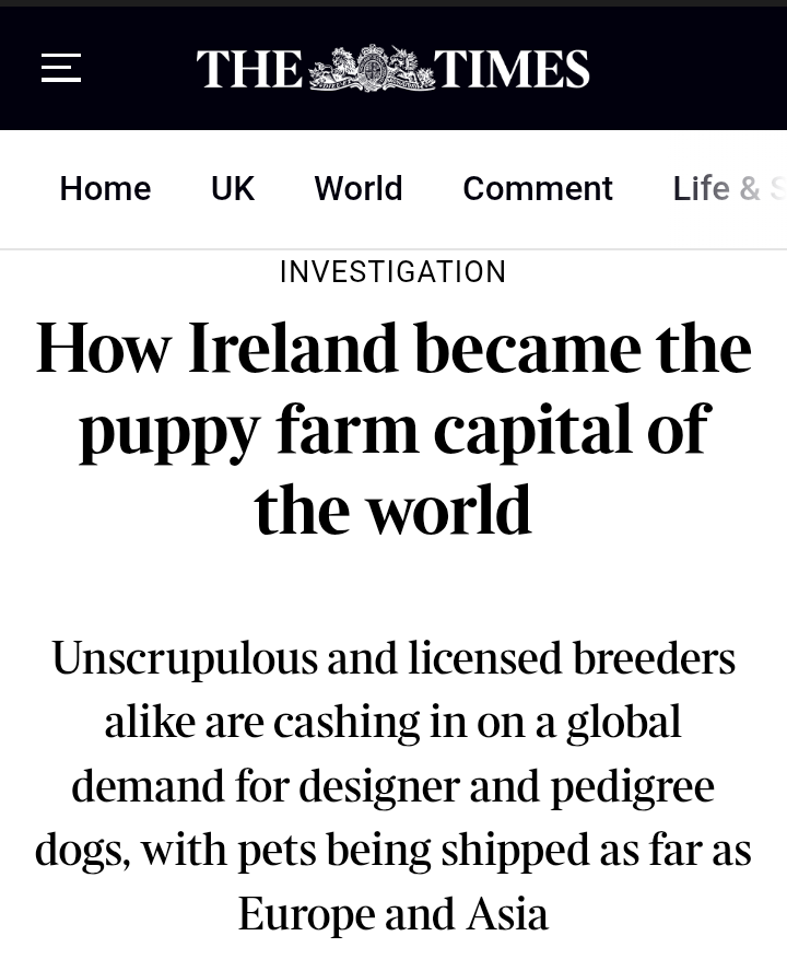 "An estimated 30,000 dogs bred by puppy farms across Ireland each year to meet the insatiable demand for designer pets in Ireland, Britain, Europe and Asia" • There are 89 registered dog breeding establishments and an unknown number of unregistered ones thetimes.com/world/ireland-…