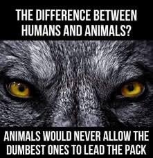 #доброутро и со памет