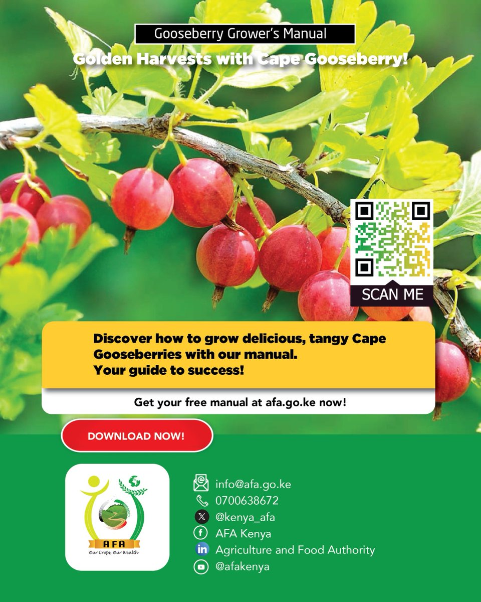 Gooseberry Growers Manual

Get your free manual at afa.go.ke