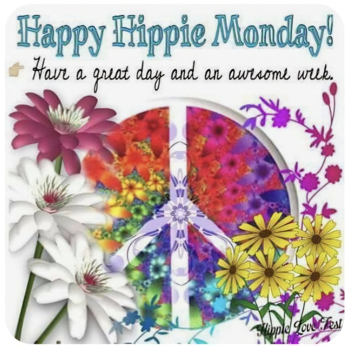 Terryll Jordaan (@beachbabynorth) on Twitter photo 