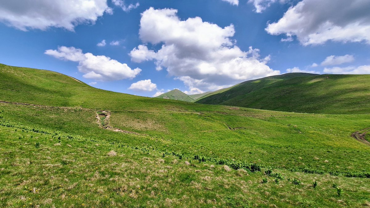 Munții Neamțului (Baiului)