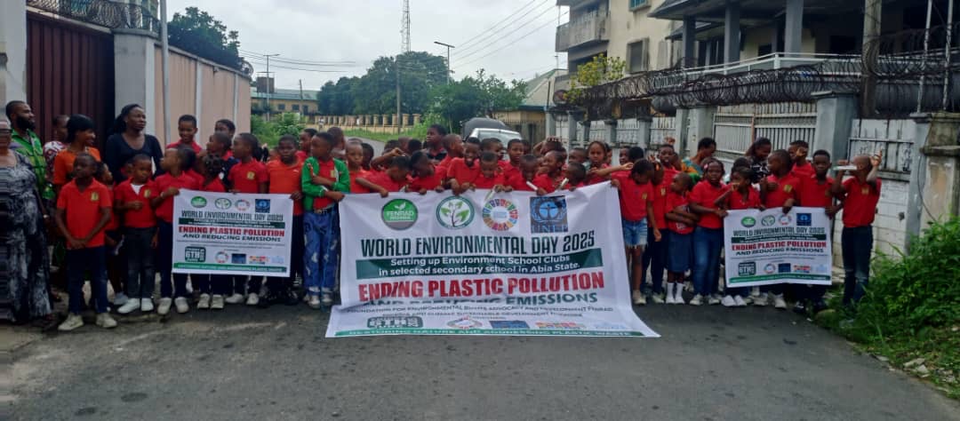 Mercy Stephen tweet media