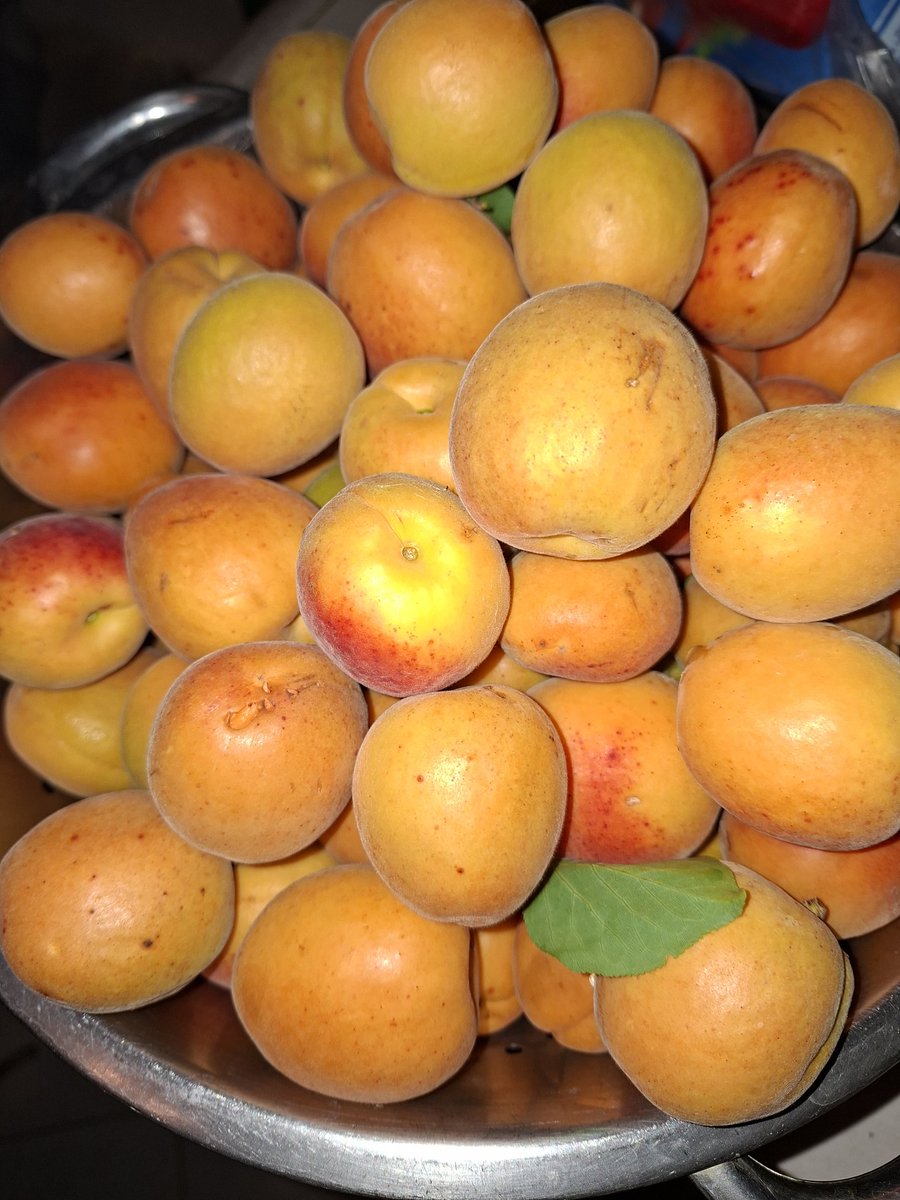 Μόλις τα έκοψα 🤌