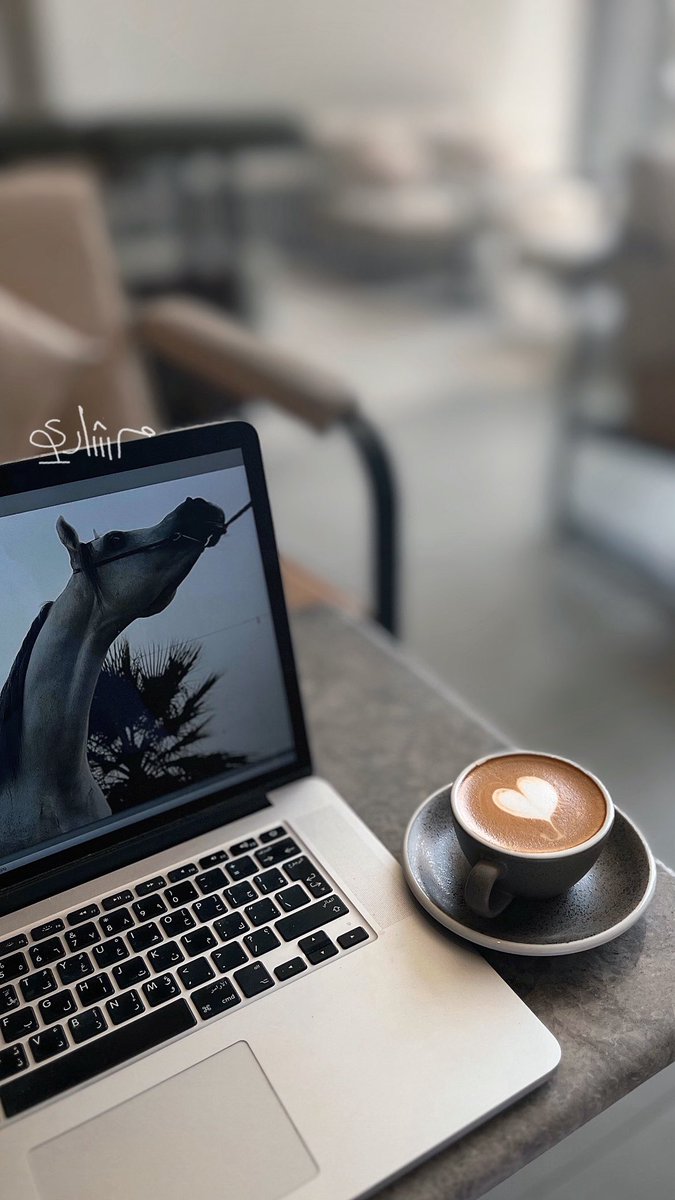 كلما زاد ضوءك، ظهر حجم ظلّهم أكثر ..
وهذا ما يخيفهم !