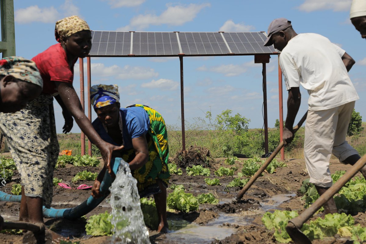 As we commemorate the world food safety day, ADPP Mozambique Farmers’ Clubs Mocuba strengthens the capacity of smallholder farmers to produce &amp; access nutritious food, thereby enhancing community resilience, food security, nutrition, increasing income &amp; promoting health knowledge