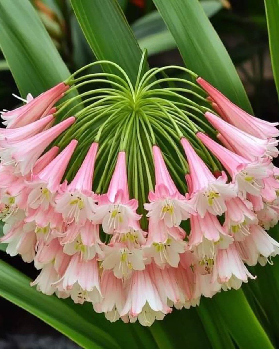 Julie LV (@1staj) on Twitter photo 