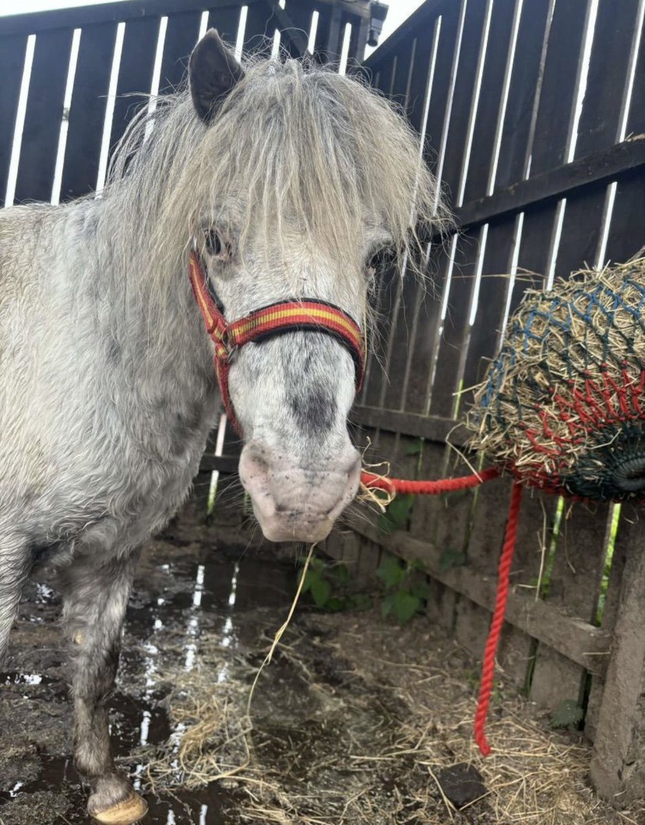 Please visit Facebook or instagram to hear about Robyn’s volunteering story😇

instagram.com/p/DKl4UJai832/…

facebook.com/share/151e3adJ…