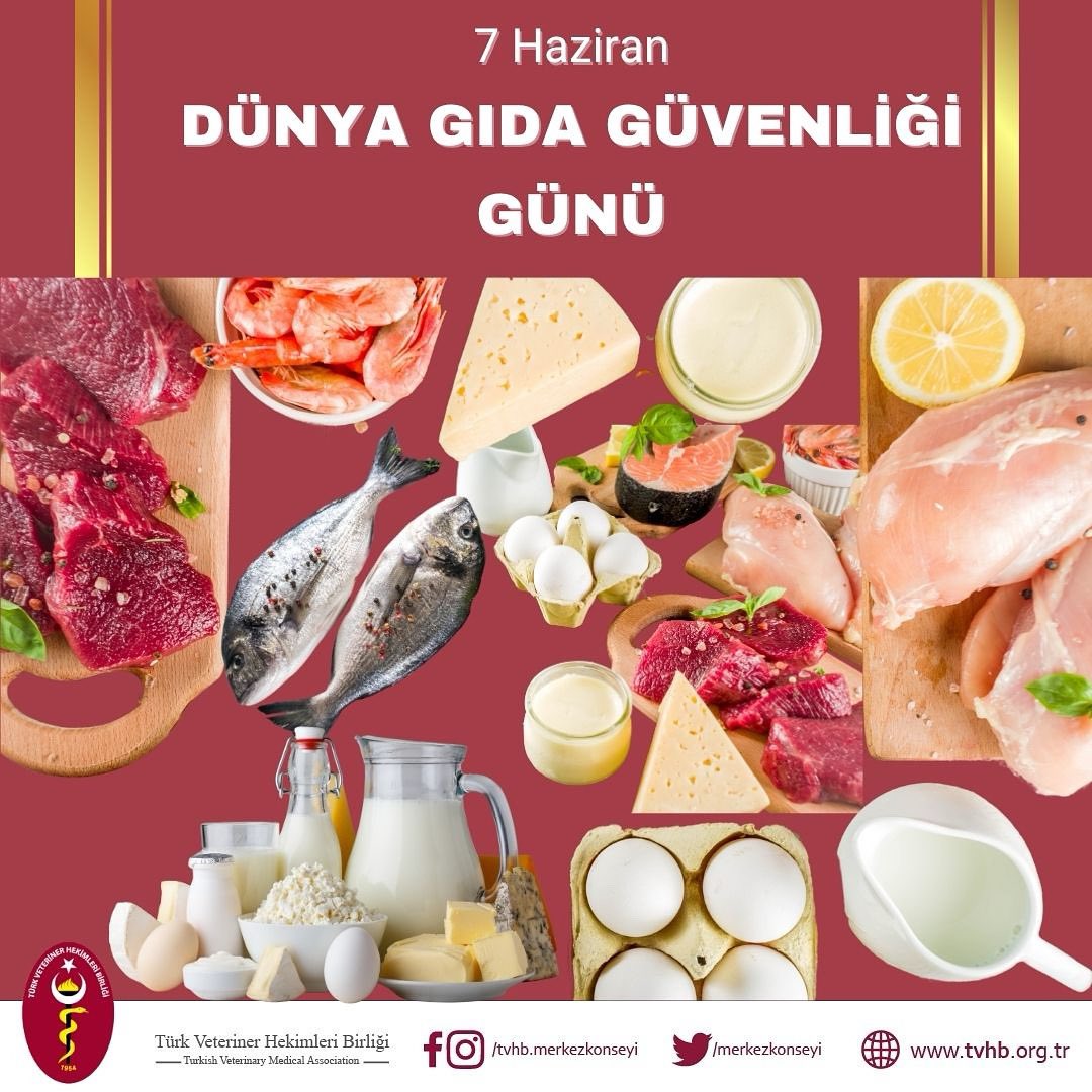 Türk Veteriner Hekimleri Birliği olarak; “Çiftlikten Sofraya” anlayışıyla güvenli gıdanın üretiminden tüketimine kadar her aşamada aktif rol üstlenen meslektaşlarımızın bu konudaki kritik görevlerini bir kez daha vurguluyoruz. Gıda güvenliği; bireyin değil, insanlığın ortak