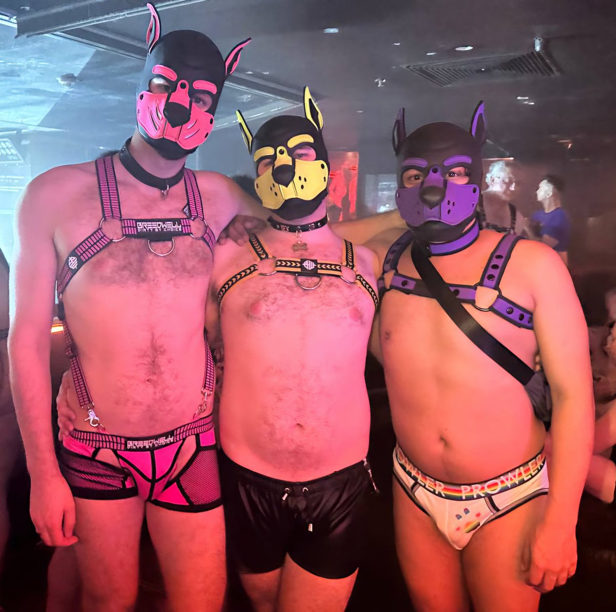 Had a fantastic time with <a href="/PupErisAus/">Pup Eris</a> and <a href="/MuttAugust/">Mutt August</a> last night at <a href="/thicknjuicy_au/">THICK ’N’ JUICY</a>