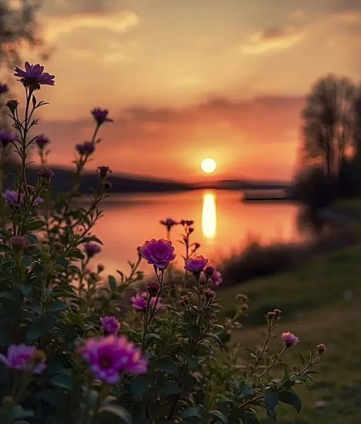 Xenia (@mubeen477) on Twitter photo 