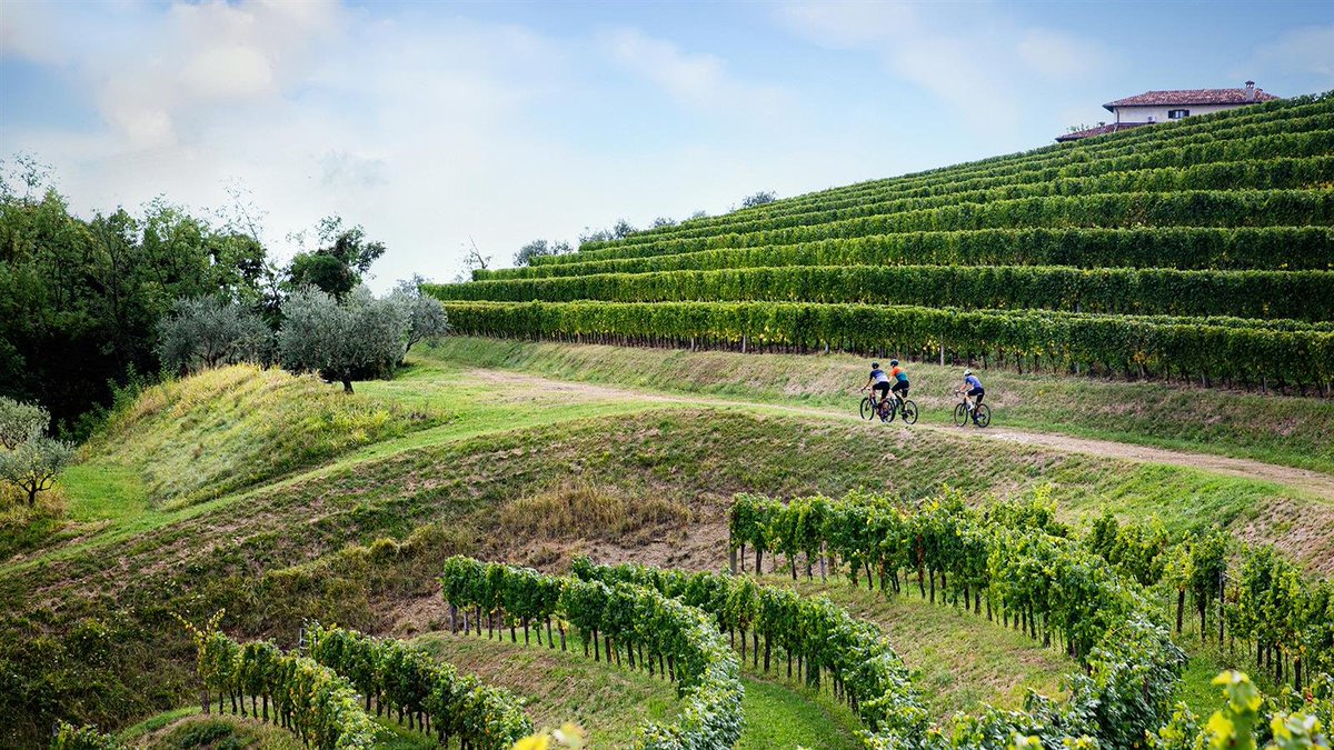 MondoInTasca tweet media