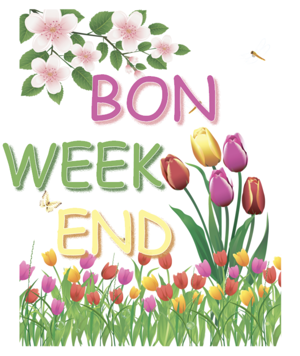 wejam_int's tweet photo. 🌟✨ Bon week-end à tous ! Profitez de chaque instant pour vous détendre et vous ressourcer.  🌼❤️ #WeekendVibes #Détente #ProfiterDeLaVie 🍃🌞 https://t.co/39mZoJvlpk