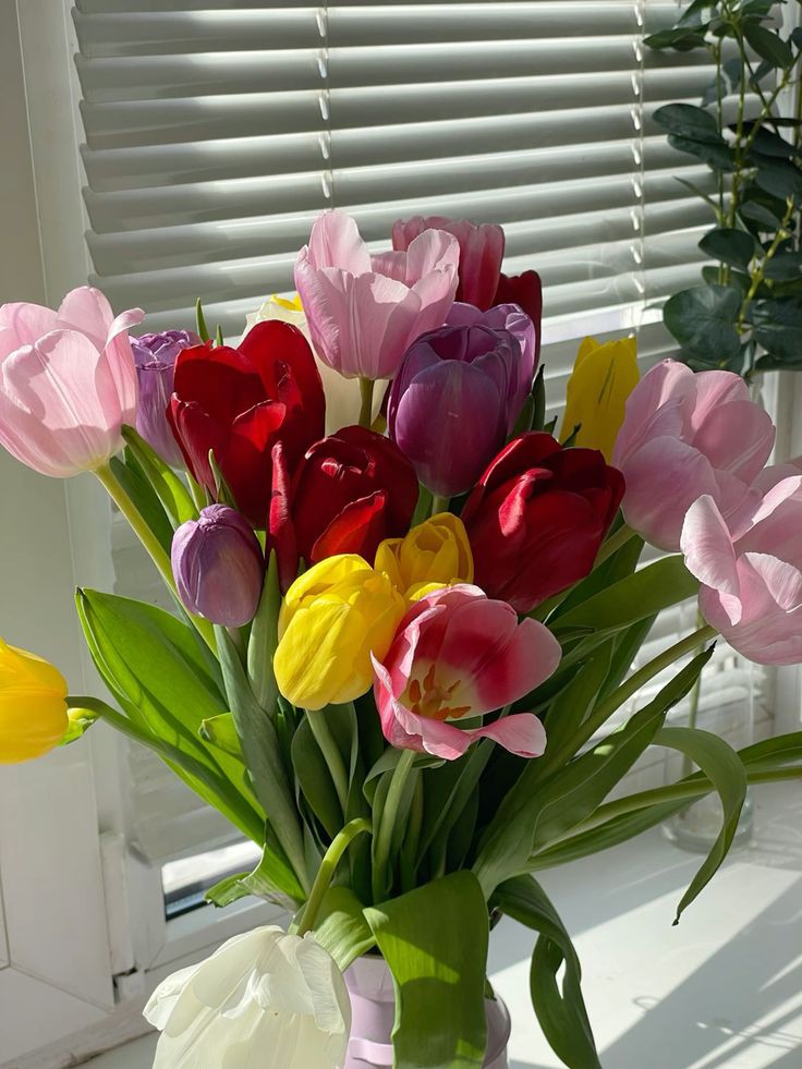 Only Tulips tweet media