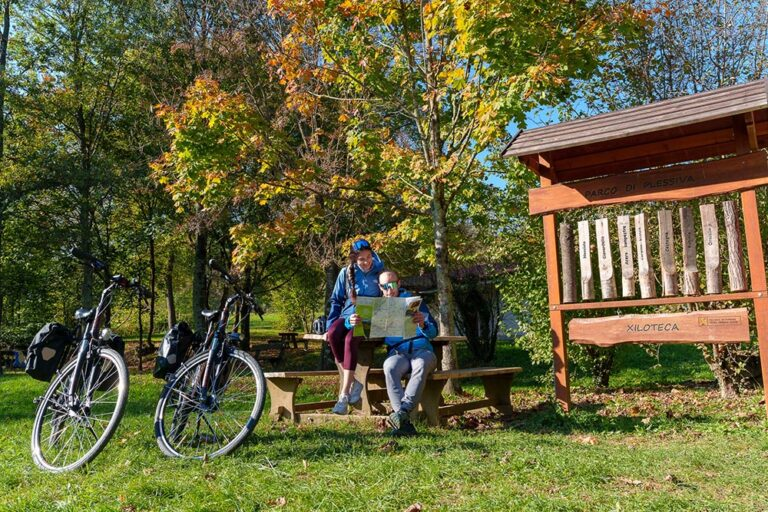 MondoInTasca tweet media