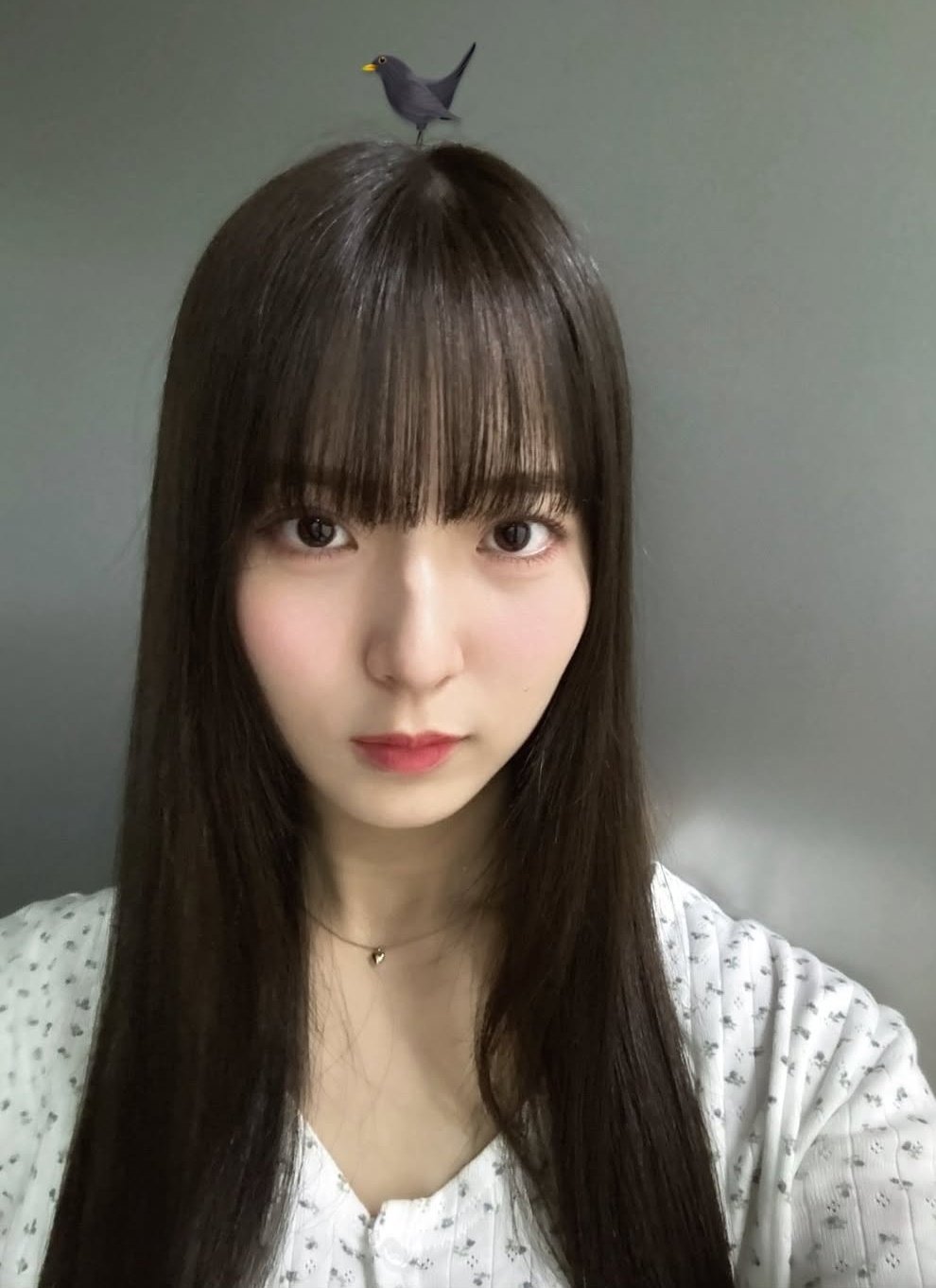 櫻坂46 中嶋優月 4thアニラ コンプ - メルカリ