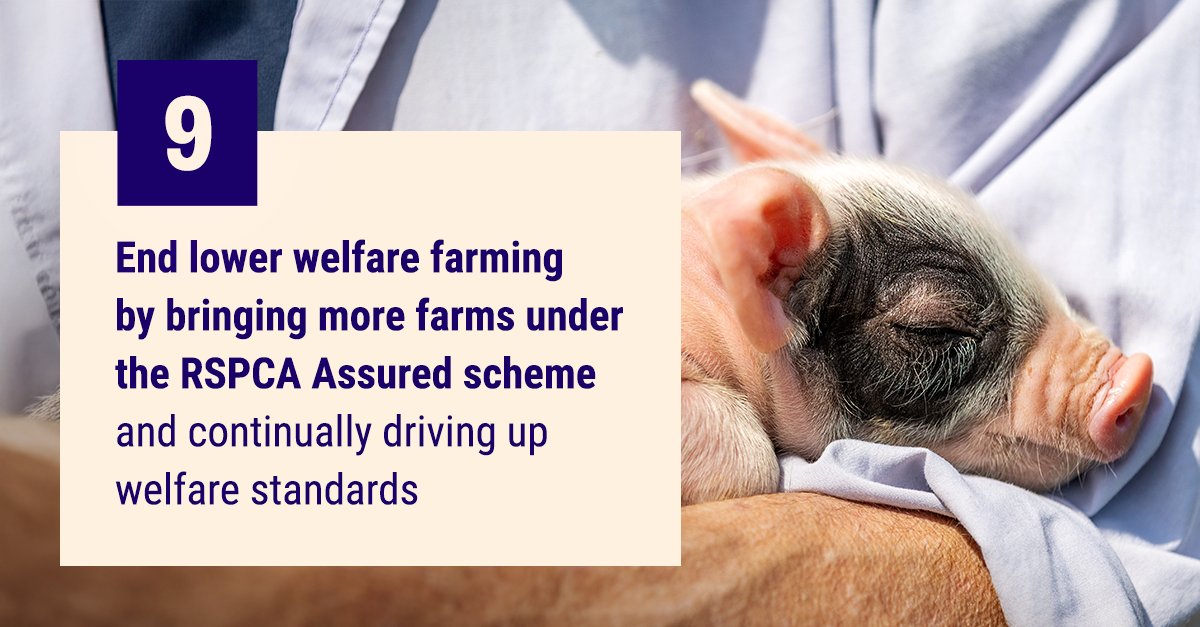 RSPCA (England & Wales) (@rspca_official) on Twitter photo UK law allows farmed animals to be kept in cages with only artificial light, on concrete floors without any kind of mental stimulation 😟
That's why, while 94% eat animal products, <a href="/rspcaassured/">RSPCA Assured</a> is vital.
Read more about our work for farmed animals: bit.ly/3Sszi3W UK law allows farmed animals to be kept in cages with only artificial light, on concrete floors without any kind of mental stimulation 😟
That's why, while 94% eat animal products, <a href="/rspcaassured/">RSPCA Assured</a> is vital.
Read more about our work for farmed animals: bit.ly/3Sszi3W