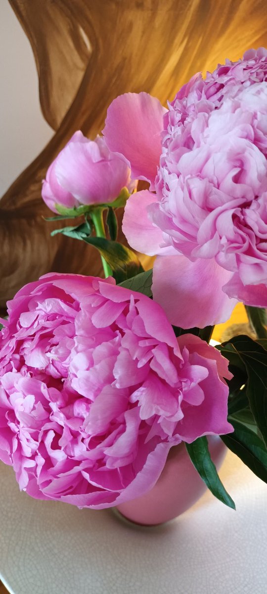 Kathryn Mannix tweet media