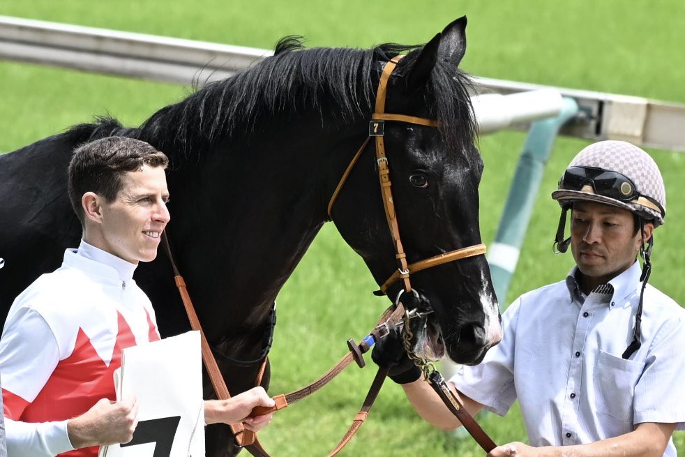 新馬戦の時期がやってきた！
GⅠ目指してみんな頑張れ！！

#ディバインウインド