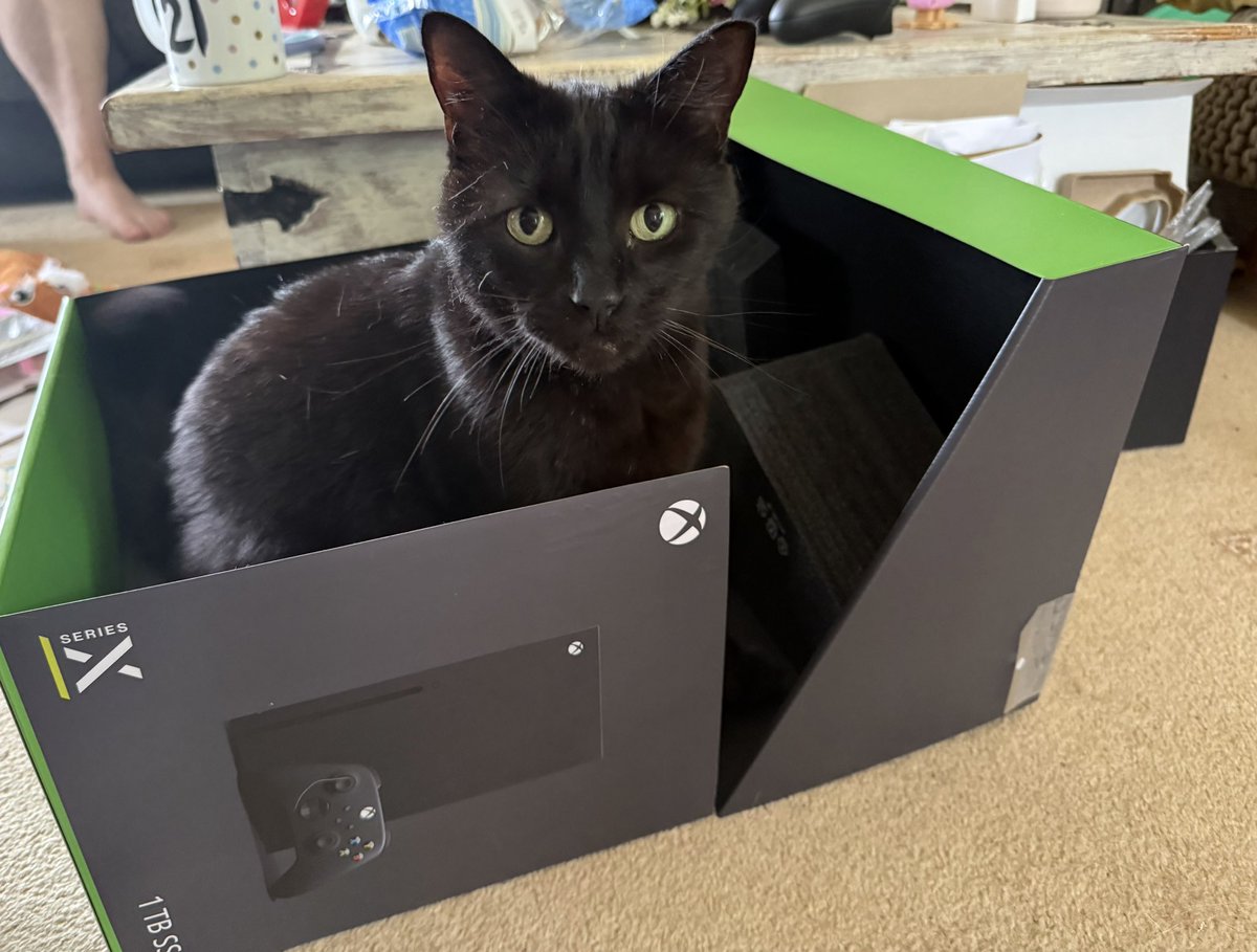 FurryMcMittens's tweet photo. @xboxuk loving the new Black Cat edition! https://t.co/EJ9T6oJSMH