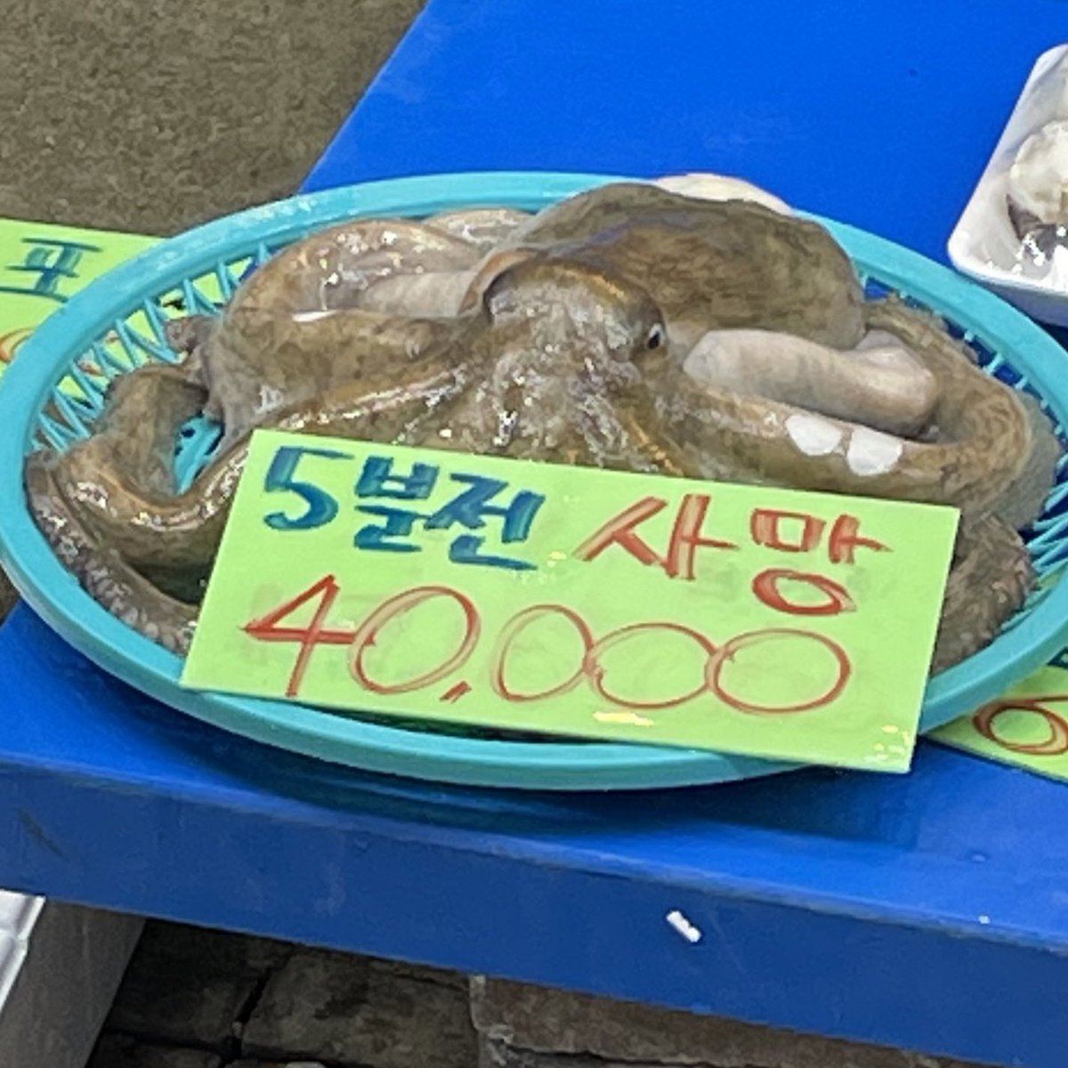 내 취향 사진들 tweet media