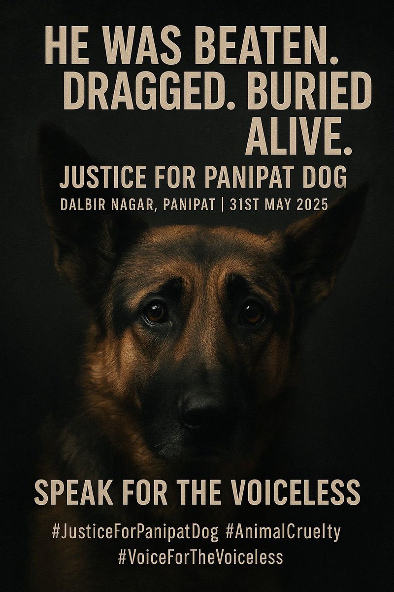 voiceforanimals11 (@vfanimals11) on Twitter photo <a href="/Panipat_Adm/">Panipat admnistration</a> <a href="/PANIPAT_POLICE/">Panipat Police</a> <a href="/DistrictAdm_Pnp/">DC PANIPAT</a> <a href="/DainikPanipat/">Dainik Jagran Panipat, рджреИрдирд┐рдХ рдЬрд╛рдЧрд░рдг рдкрд╛рдиреАрдкрдд</a> <a href="/DmPanipat14454/">dm panipat</a> <a href="/dc_panipat/">DC PANIPAT</a> <a href="/ShoCyberPanipat/">CYBER CRIME POLICE STATION PANIPAT</a> <a href="/cmohry/">CMO Haryana</a> <a href="/police_haryana/">Haryana Police</a> <a href="/DGPHaryana/">DGP Haryana Police</a> <a href="/BJP4Haryana/">Haryana BJP</a> <a href="/PetaIndia/">PETA India</a> <a href="/pfaindia/">People For Animals India</a> <a href="/Manekagandhibjp/">Maneka Sanjay Gandhi</a> <a href="/AmbikaShukla15/">Ambika Shukla</a> <a href="/PMOIndia/">PMO India</a> <a href="/asharmeet02/">Meet Ashar</a> <a href="/JesudossAsher/">Dr. Asher R. Jesudoss</a> <a href="/AwbiBallabhgarh/">Animal Welfare Board of India</a> <a href="/SupremeCourtIND/">Supreme Court India</a> <a href="/Panipat_Adm/">Panipat admnistration</a> <a href="/PANIPAT_POLICE/">Panipat Police</a> <a href="/DistrictAdm_Pnp/">DC PANIPAT</a> <a href="/DainikPanipat/">Dainik Jagran Panipat, рджреИрдирд┐рдХ рдЬрд╛рдЧрд░рдг рдкрд╛рдиреАрдкрдд</a> <a href="/DmPanipat14454/">dm panipat</a> <a href="/dc_panipat/">DC PANIPAT</a> <a href="/ShoCyberPanipat/">CYBER CRIME POLICE STATION PANIPAT</a> <a href="/cmohry/">CMO Haryana</a> <a href="/police_haryana/">Haryana Police</a> <a href="/DGPHaryana/">DGP Haryana Police</a> <a href="/BJP4Haryana/">Haryana BJP</a> <a href="/PetaIndia/">PETA India</a> <a href="/pfaindia/">People For Animals India</a> <a href="/Manekagandhibjp/">Maneka Sanjay Gandhi</a> <a href="/AmbikaShukla15/">Ambika Shukla</a> <a href="/PMOIndia/">PMO India</a> <a href="/asharmeet02/">Meet Ashar</a> <a href="/JesudossAsher/">Dr. Asher R. Jesudoss</a> <a href="/AwbiBallabhgarh/">Animal Welfare Board of India</a> <a href="/SupremeCourtIND/">Supreme Court India</a>