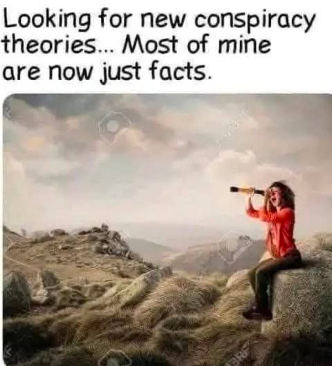 Bee Lady (@jackiemarsden6) on Twitter photo 