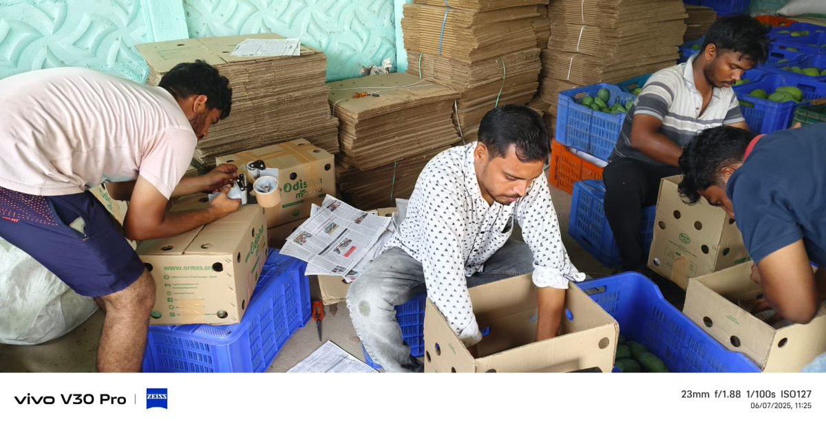 ORMAS, Angul tweet media