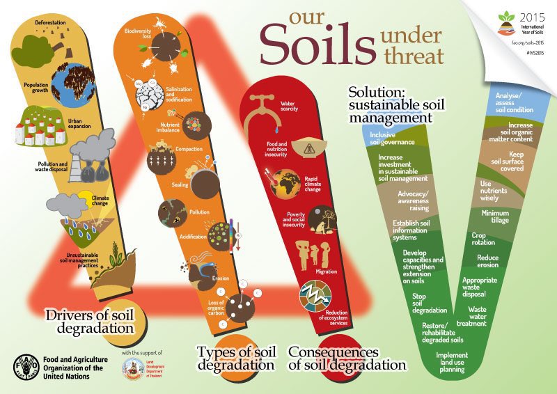 🌍🥦 On #WorldFoodSafetyDay, remember: 
🥗Healthy soil = Safe food
🥗Degraded soil = higher contamination risks

What we feed the earth is what it feeds us.

Protecting soil health isn't just environmental — it's essential for our #foodsafety. 🌱💚
#SoilHealth #SustainableFarming