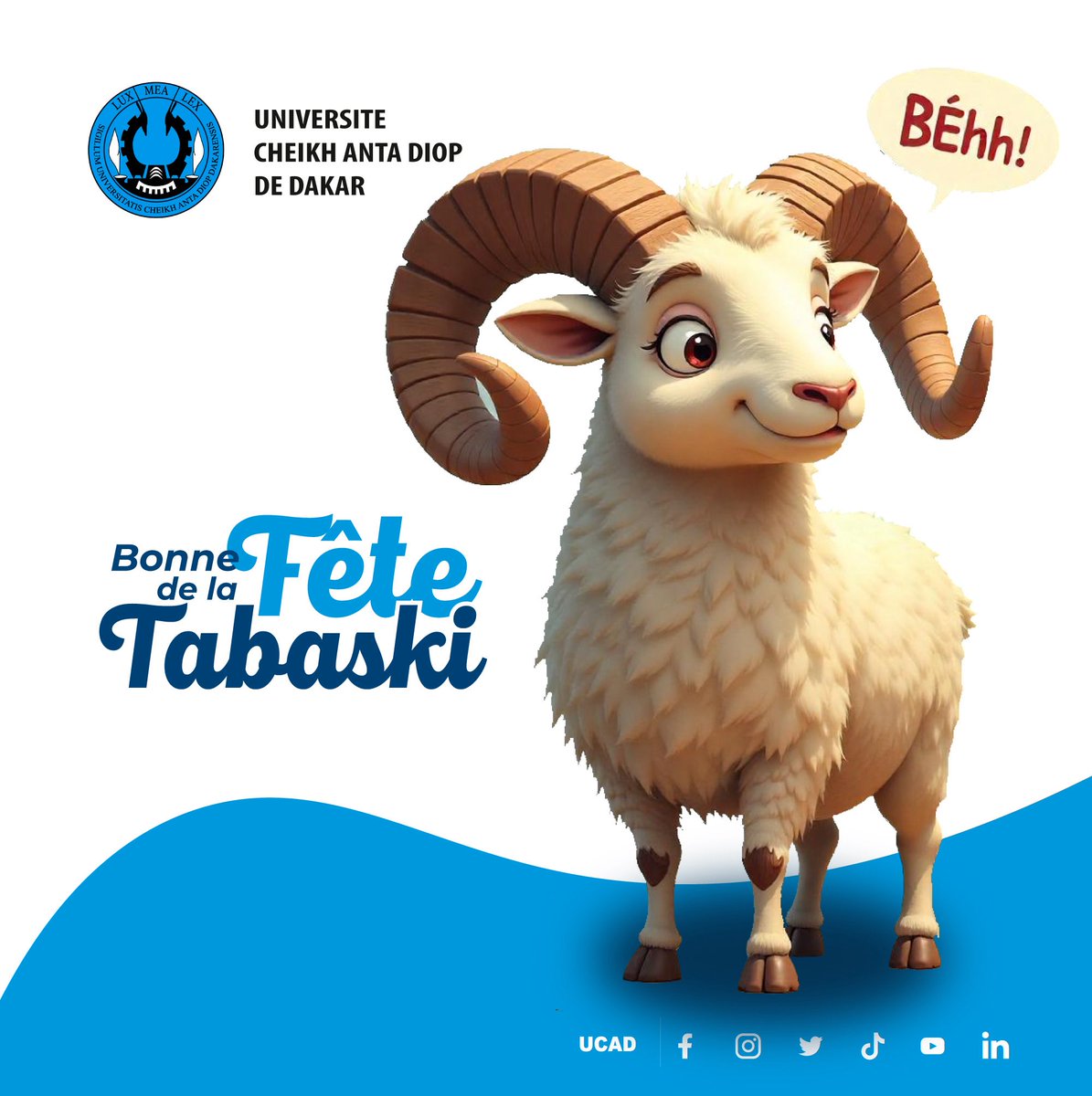 #TABASKI2025✨🌙🐏

Aid Moubarak à tous !

Que cette fête soit une source de paix, de bénédictions, et de pardon pour vous et vos proches.

Qu’Allah accepte vos sacrifices et comble vos foyers de bonheur et de prospérité !🌙🕋

#ucad #kebetu #senegal #compublique #comdigitale
